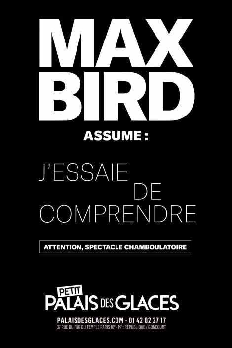 Affiche du spectacle assume : J'essaie de comprendre