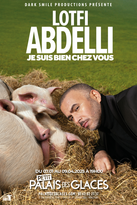 Affiche du spectacle Dans Je suis bien chez vous
