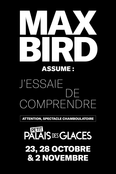 Affiche du spectacle MAX BIRD J'essaie de comprendre