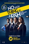 Archive - No Such Thing As A Fish